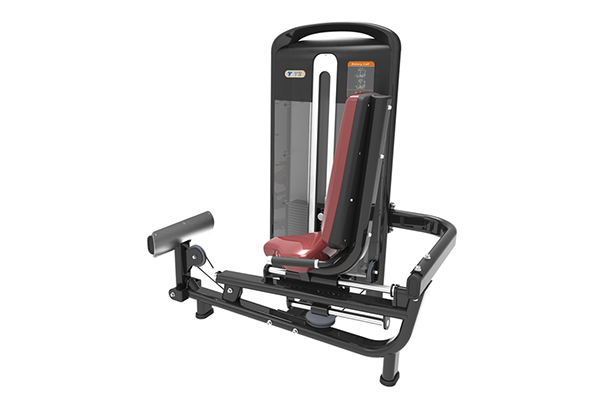  Máquina para rotación de pantorrillas TZ-4036 