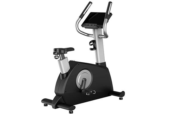 Bicicleta vertical TZ-e2030A/B   