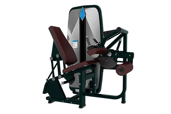 Máquina para curl de piernas sentado TZ-9001