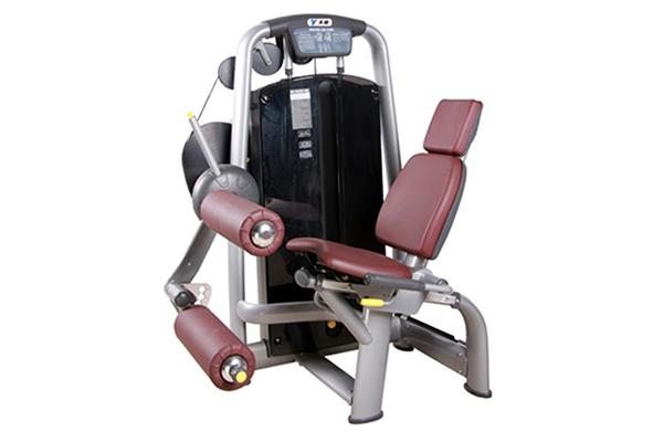 Máquina para curl de piernas sentado TZ-6001