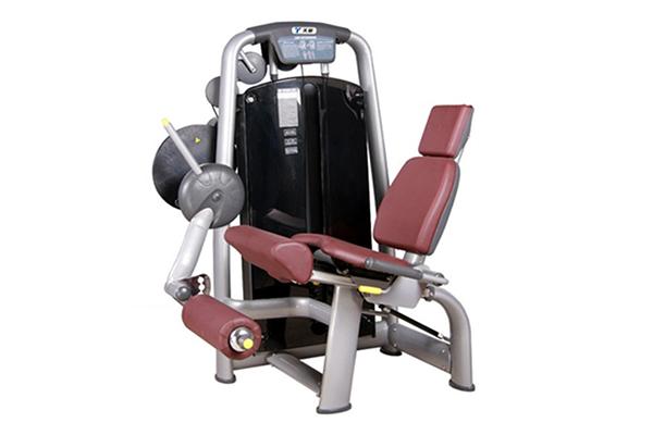 Máquina para extensión de piernas sentado TZ-6002