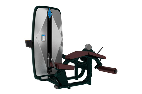 Máquina para curl de piernas acostado TZ-9044