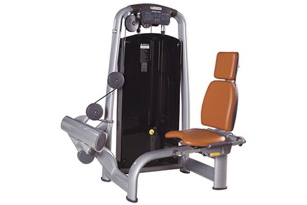  Máquina para rotación de pantorrillas TZ-6036 