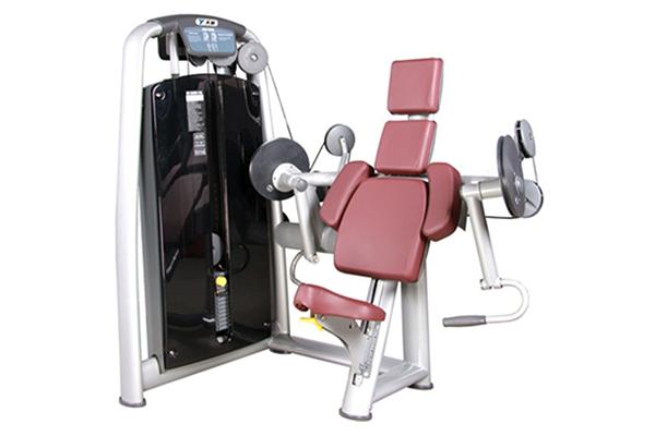 Máquina para curl de bíceps TZ-6013