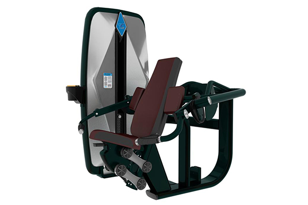 Máquina para curl de bíceps TZ-9013