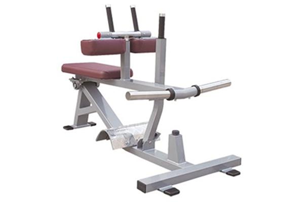 Máquina para elevación de pantorrillas sentado TZ-5050