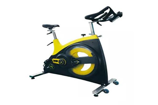 Bicicleta de spinning TZ-7010D (con correa de transmisión y rueda de inercia)