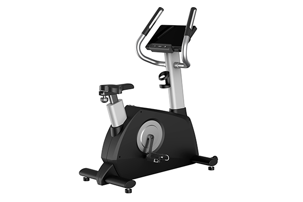 TZ-2030 Upright Bike